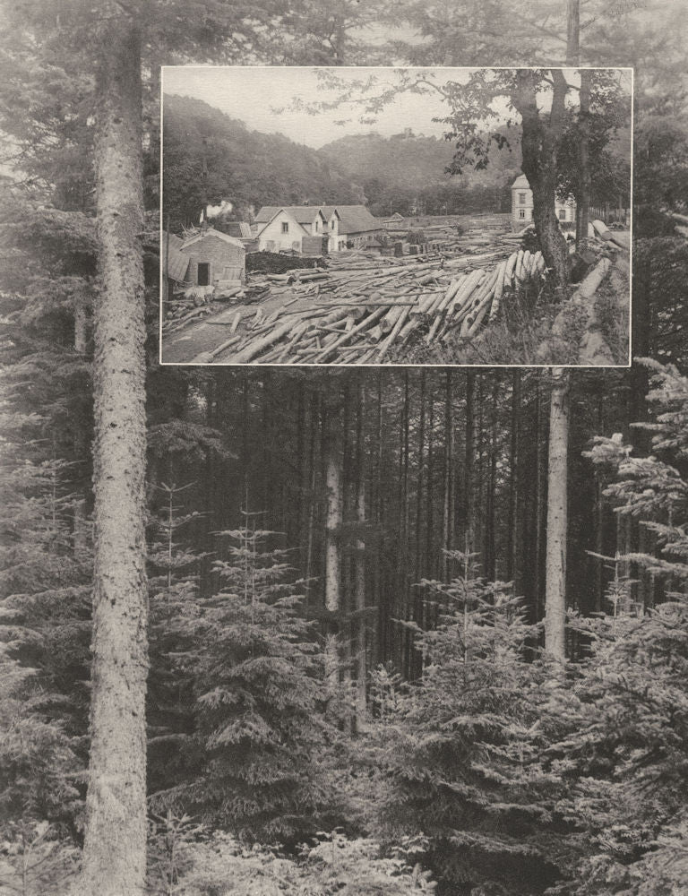 MOSELLE. Le Bois 1937 old vintage print picture